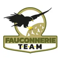 logo Fauconnerie Team